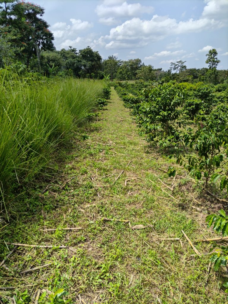 WhatsApp Image 2025-02-21 at 9.31.01 AM (1)