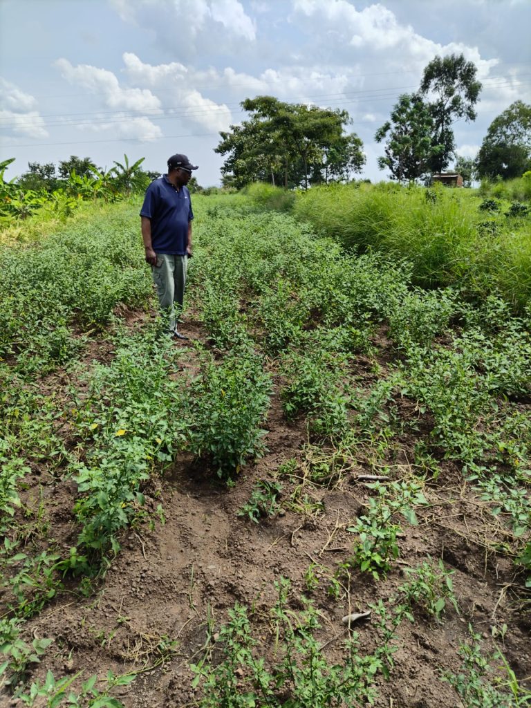 WhatsApp Image 2025-02-21 at 9.31.01 AM (2)