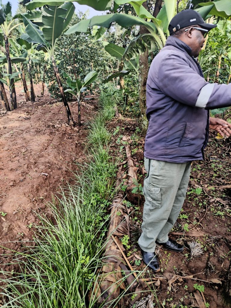 WhatsApp Image 2025-02-21 at 9.31.01 AM